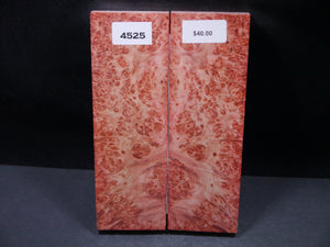 Stabilized Double Dyed Box Elder Scales SW4525
