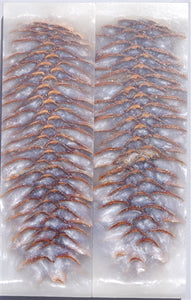 RESIN SPRUCE CONE SCALES 3/8" x 1 1/2" x 5" WHITE