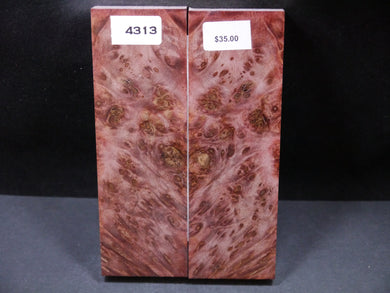 Stabilized Dyed Maple Burl Scales SW4313