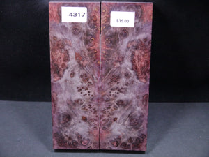 Stabilized Dyed Maple Burl Scales SW4317