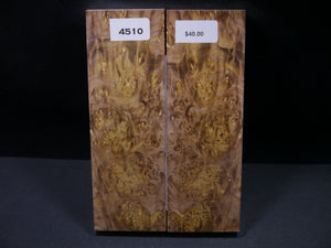 Stabilized Double Dyed Box Elder Scales SW4510