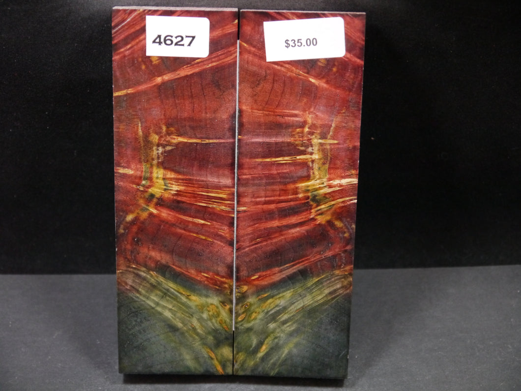 Stabilized Double Dyed Box Elder Scales SW4627