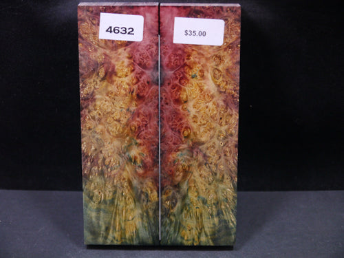 Stabilized Double Dyed Box Elder Scales SW4632