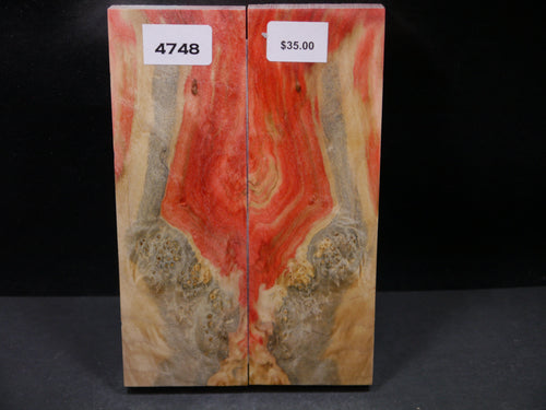 Stabilized Box Elder Scales SW4748