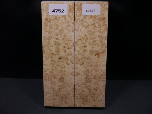 Stabilized Box Elder Scales SW4752