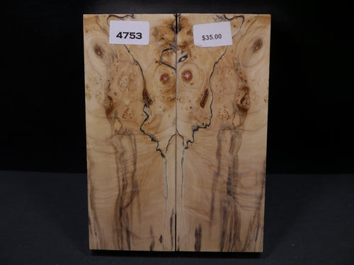 Stabilized Box Elder Scales SW4753