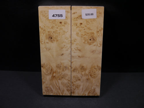 Stabilized Box Elder Scales SW4755