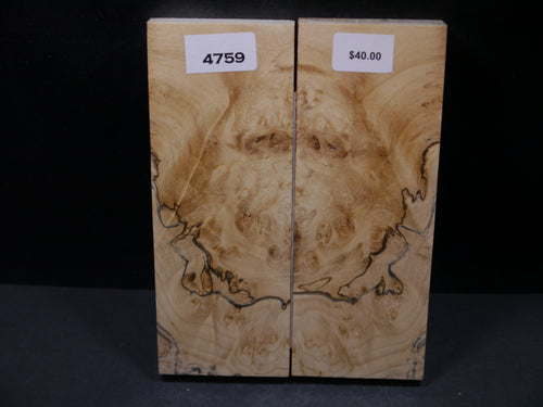 Stabilized Box Elder Scales SW4759