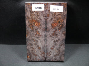 Stabilized Double Dyed Maple Burl Scales SW4830