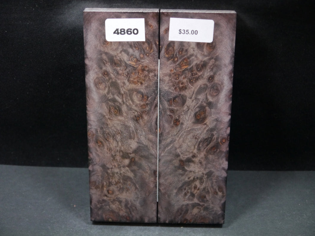 Stabilized Double Dyed Maple Burl Scales SW4860