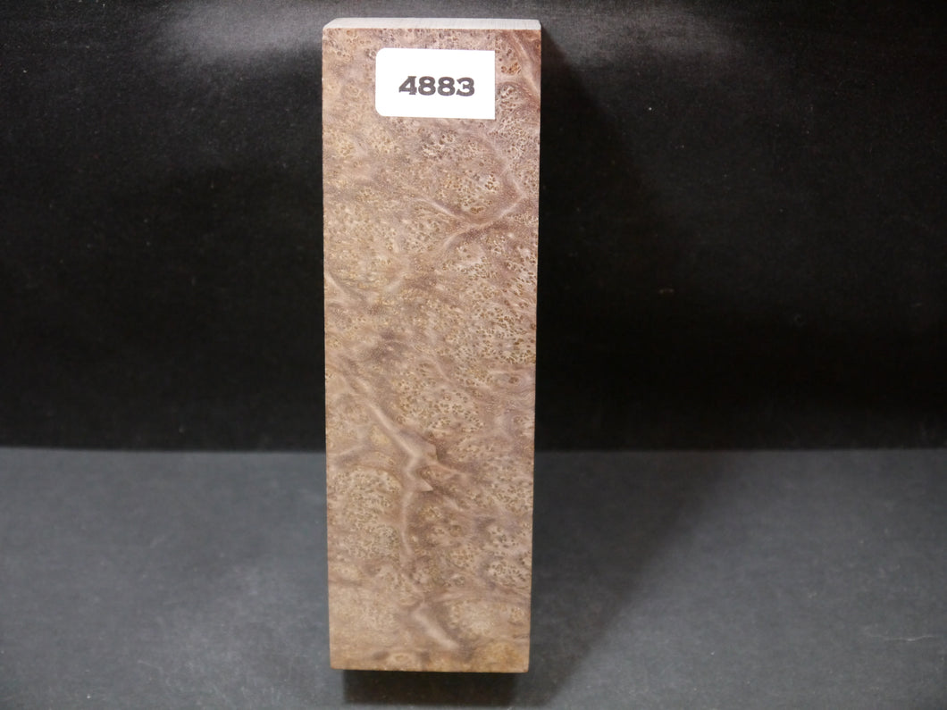 Stabilized Asian Satinwood Burl Block SW4883