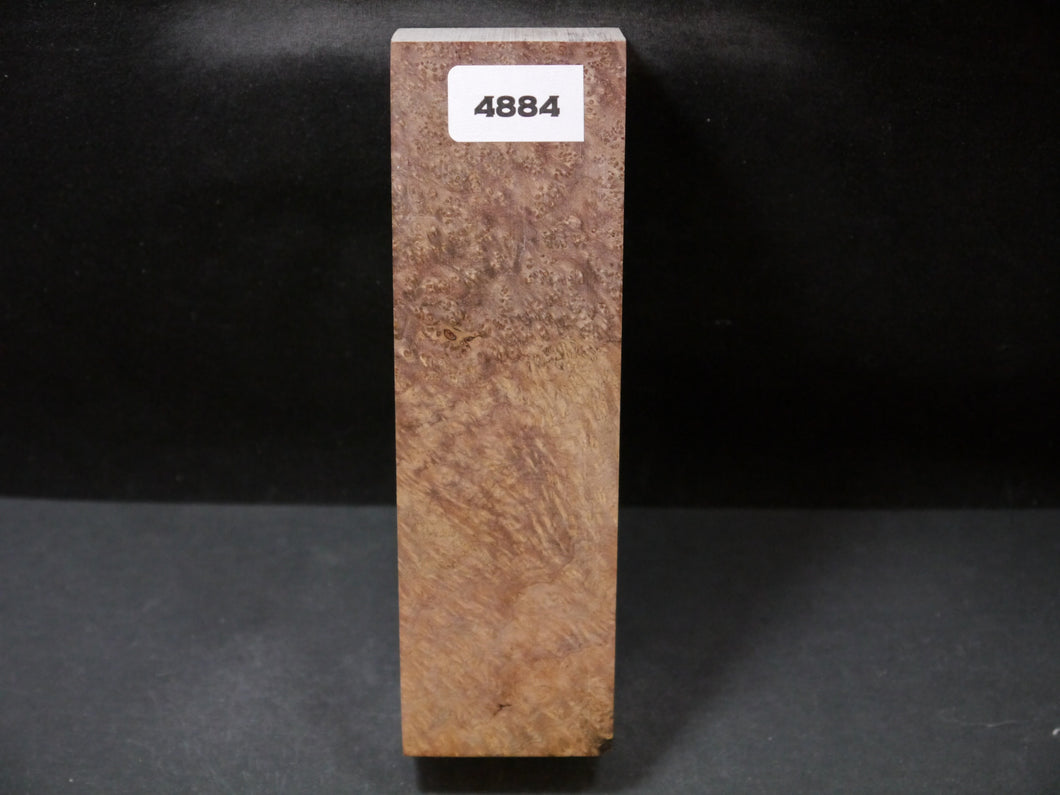 Stabilized Asian Satinwood Burl Block SW4884