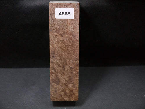 Stabilized Asian Satinwood Burl Block SW4885