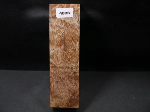 Stabilized Asian Satinwood Burl Block SW4886