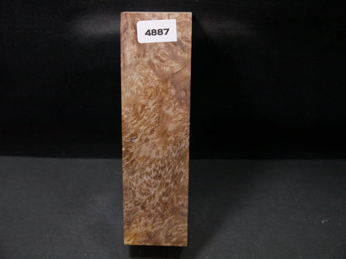 Stabilized Asian Satinwood Burl Block SW4887