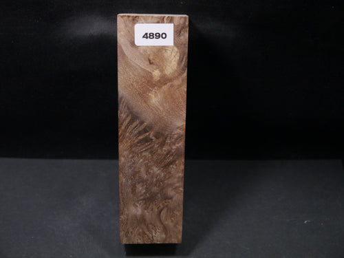 Stabilized Asian Satinwood Burl Block SW4890