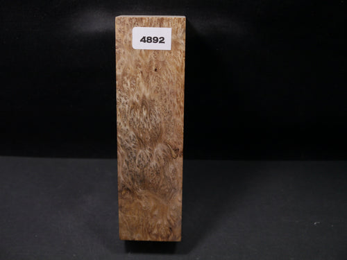 Stabilized Asian Satinwood Burl Block SW4892