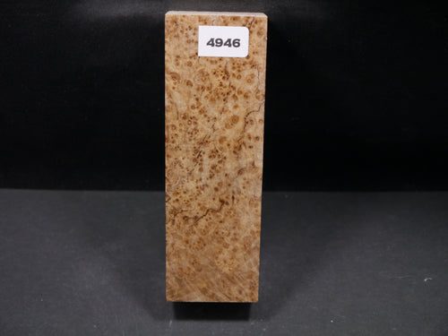 Stabilized Black Ash Burl Block SW4946