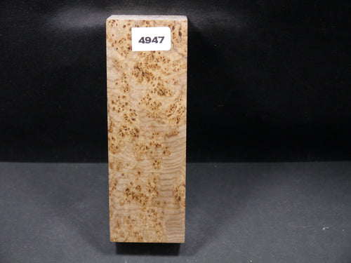 Stabilized Black Ash Burl Block SW4947