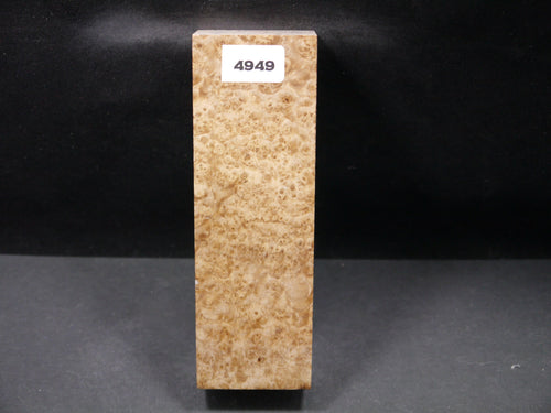 Stabilized Black Ash Burl Block SW4949