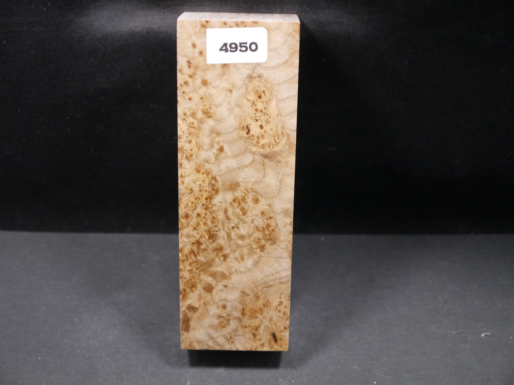 Stabilized Black Ash Burl Block SW4950