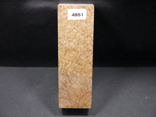 Stabilized Black Ash Burl Block SW4951