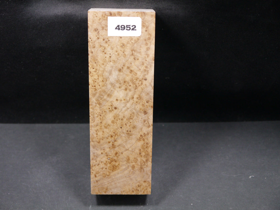 Stabilized Black Ash Burl Block SW4952