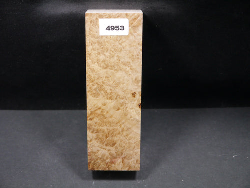 Stabilized Black Ash Burl Block SW4953