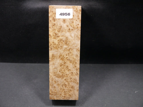 Stabilized Black Ash Burl Block SW4956