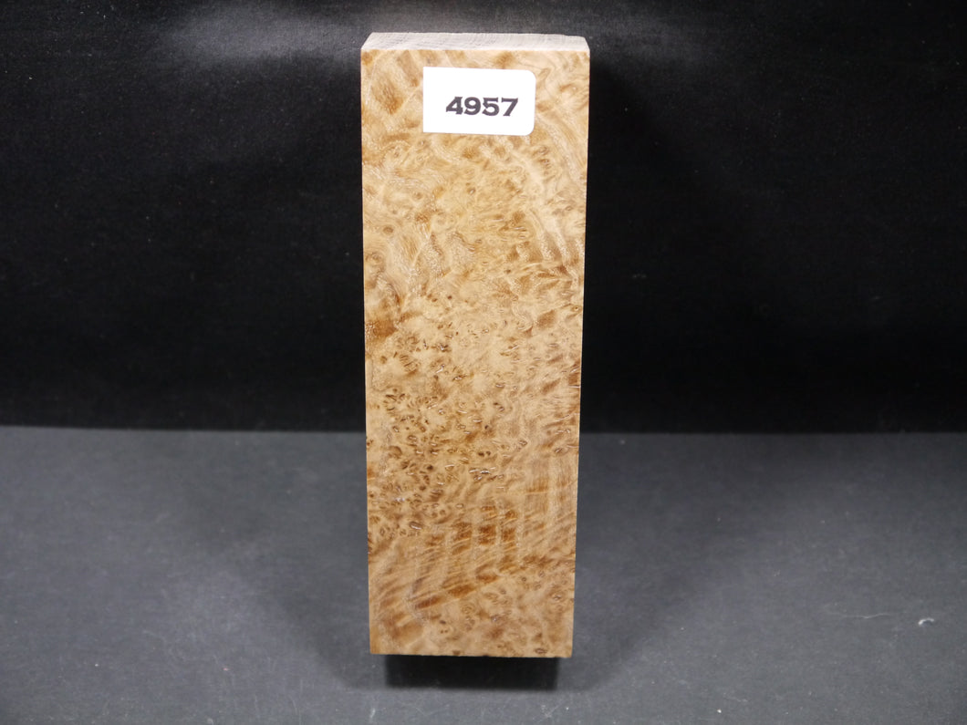 Stabilized Black Ash Burl Block SW4957