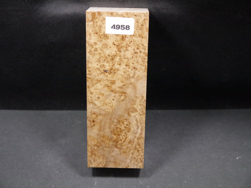 Stabilized Black Ash Burl Block SW4958