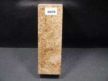 Stabilized Black Ash Burl Block SW4959