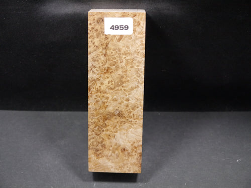 Stabilized Black Ash Burl Block SW4959