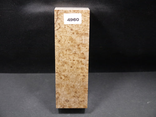 Stabilized Black Ash Burl Block SW4960