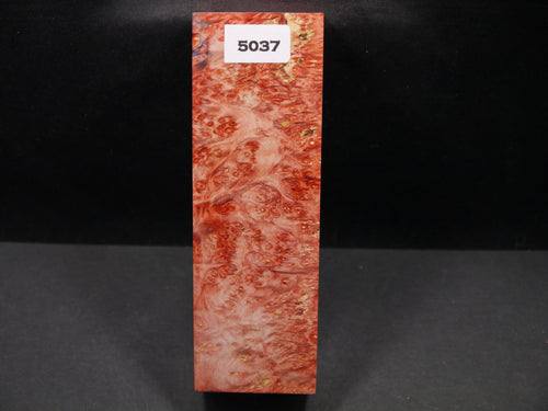 Stabilized Dyed Box Elder Block SW5037