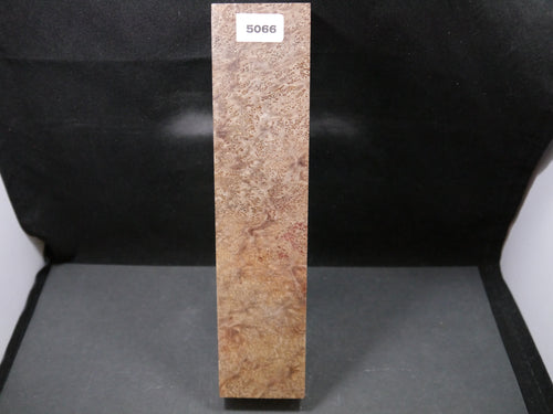 Stabilized Asian Satinwood Burl Block SW5066