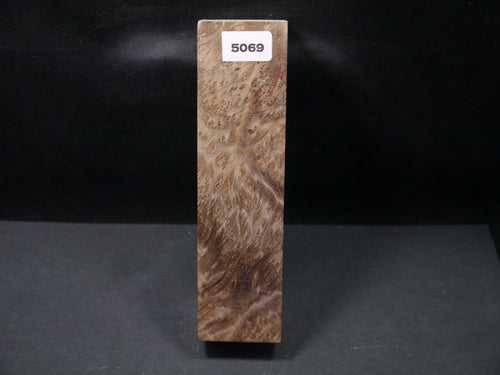 Stabilized Asian Satinwood Burl Block SW5069