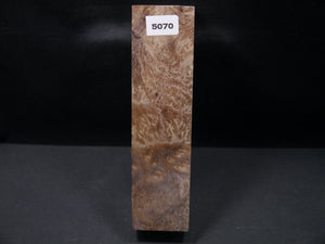 Stabilized Asian Satinwood Burl Block SW5070