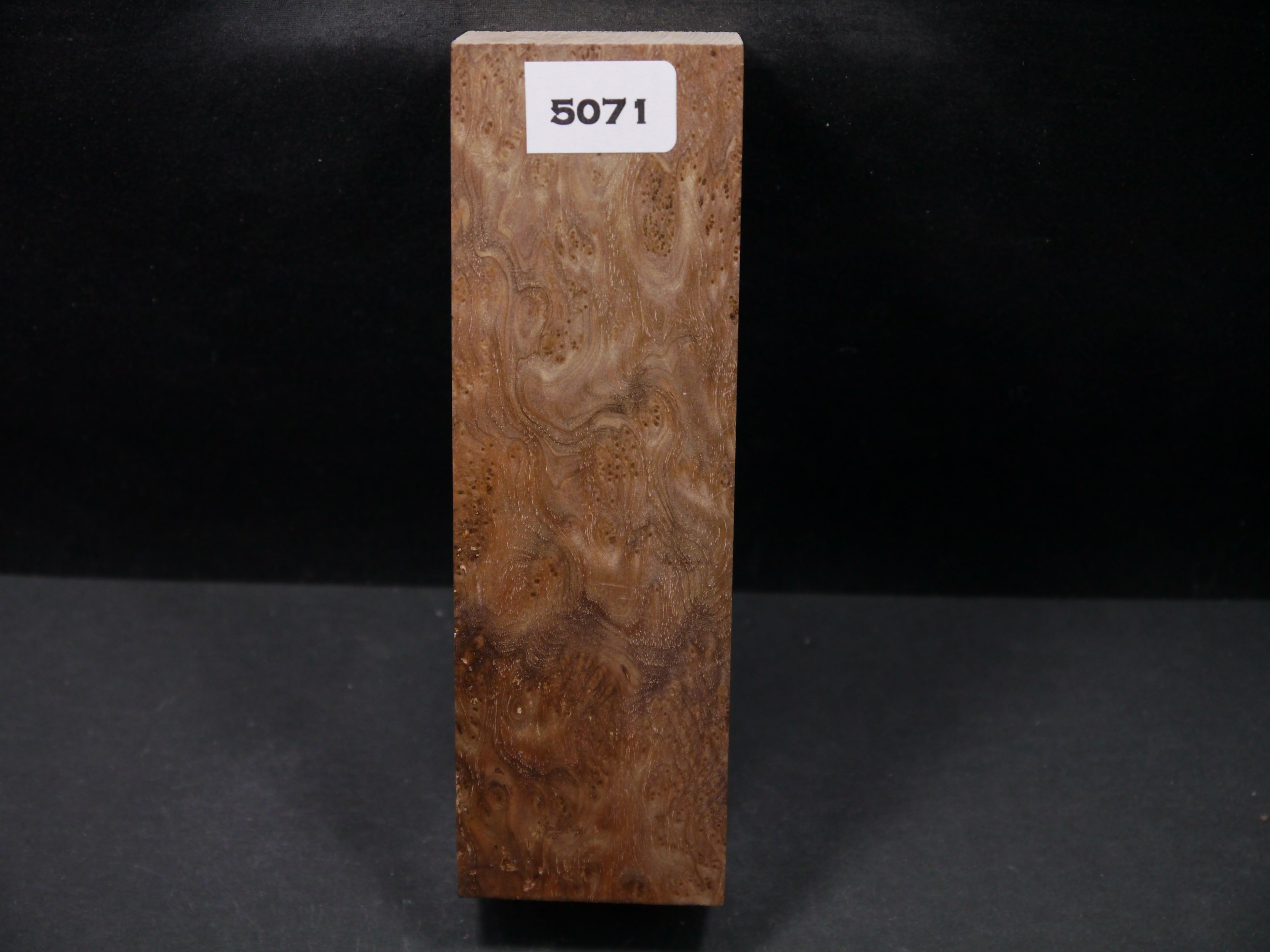 Stabilized Asian Satinwood Burl Block SW5071