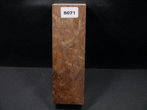 Stabilized Asian Satinwood Burl Block SW5071