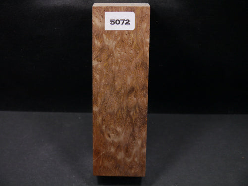 Stabilized Asian Satinwood Burl Block SW5072