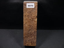 Stabilized Asian Satinwood Burl Block SW5073