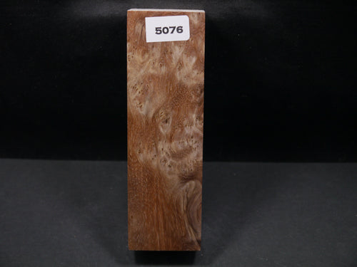 Stabilized Asian Satinwood Burl Block SW5076