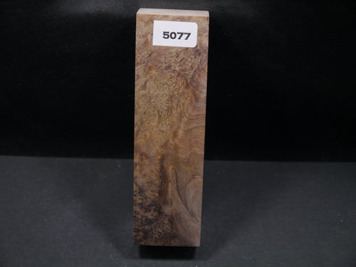 Stabilized Asian Satinwood Burl Block SW5077