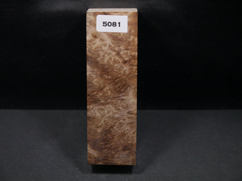 Stabilized Asian Satinwood Burl Block SW5081