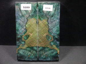 Stabilized Double Dyed Maple Burl Scales SW5289