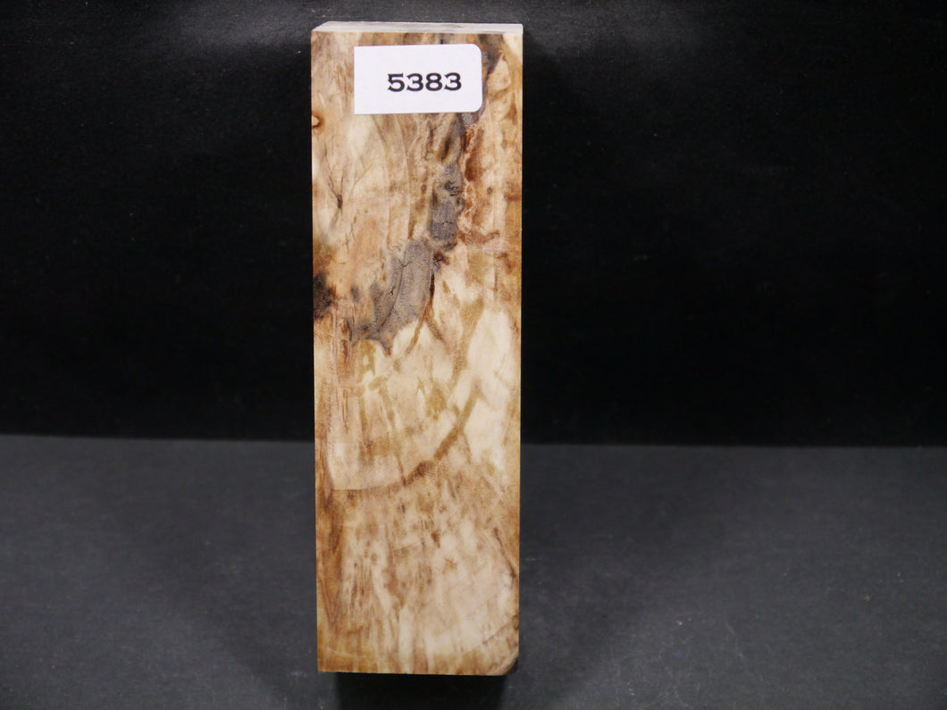 Stabilized Aspen Block SW5383