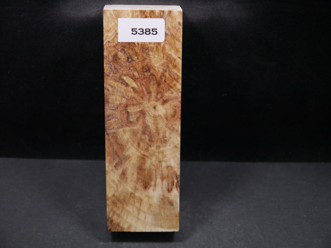 Stabilized Aspen Block SW5385