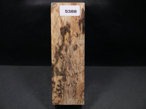 Stabilized Aspen Block SW5388