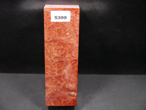 Stabilized Dyed Box Elder Block SW5399